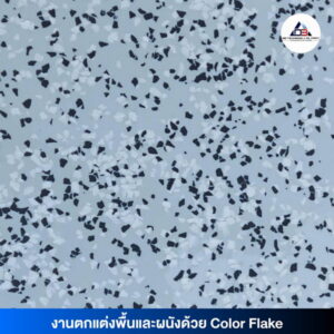 COLOR FLAKE-10